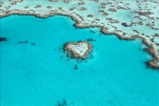 海島婚禮／漢密爾頓島 心型礁岩見證愛情