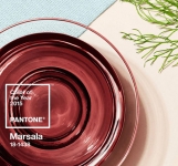 PANTONE® 公佈 2015 年度代表色：瑪薩拉酒紅(Marsala)