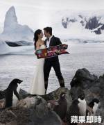 名人喜訊_Janet南極結婚 企鵝當花童